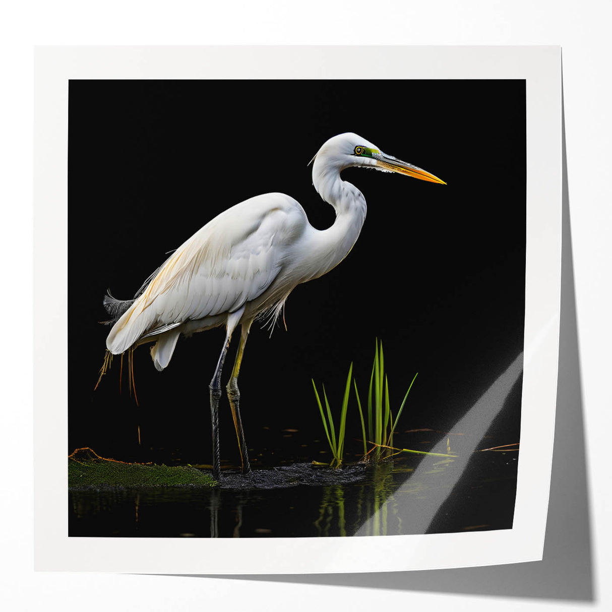 Elegant wall art collection showcasing a heron and egret design in a glossy finish, perfect for enhancing home decor with nature-inspired aesthetics. Ideal for bird lovers and art enthusiasts seeking vibrant, wildlife-themed wall decor.