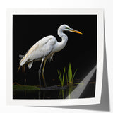 Elegant wall art collection showcasing a heron and egret design in a glossy finish, perfect for enhancing home decor with nature-inspired aesthetics. Ideal for bird lovers and art enthusiasts seeking vibrant, wildlife-themed wall decor.