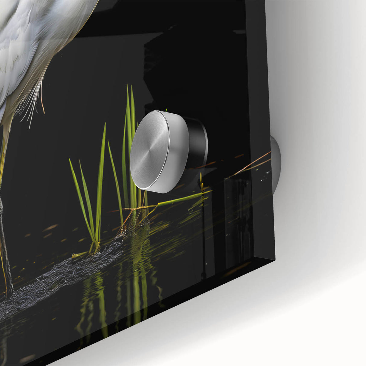Close-up of a vibrant wall art collection featuring a heron and egret design, showcasing intricate details and colors on acrylic glass, perfect for bird lovers.