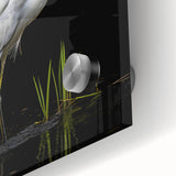 Close-up of a vibrant wall art collection featuring a heron and egret design, showcasing intricate details and colors on acrylic glass, perfect for bird lovers.
