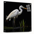 Elegant wall art featuring a side view of a heron and egret design, displayed in an acrylic glass frame with pins, showcasing intricate details and vibrant colors. Perfect for nature lovers seeking stylish home decor.