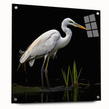 Elegant wall art featuring a side view of a heron and egret design, displayed in an acrylic glass frame with pins, showcasing intricate details and vibrant colors. Perfect for nature lovers seeking stylish home decor.