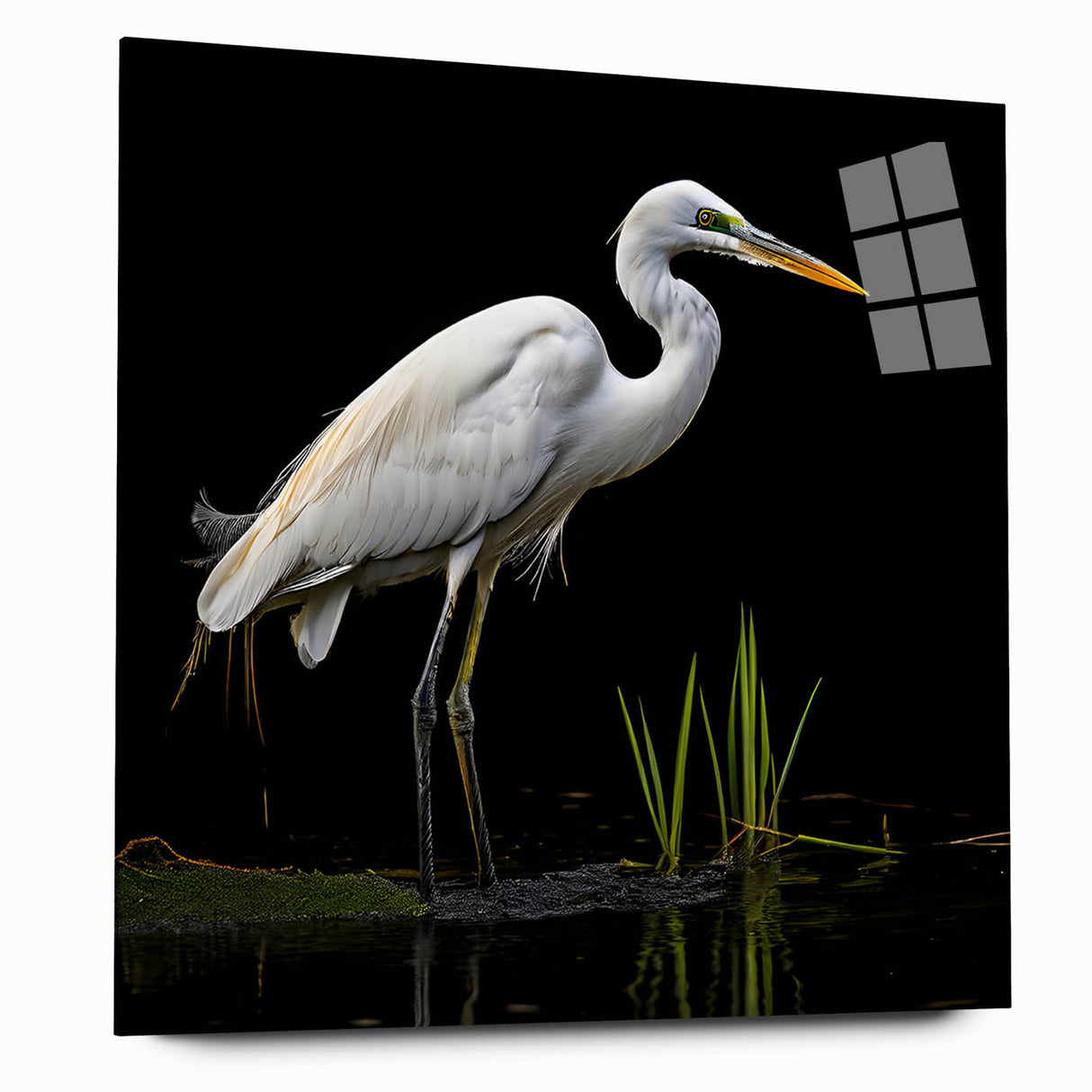 Elegant wall art showcasing a side view of a heron and egret design, featuring vibrant colors and sleek acrylic glass framing, perfect for modern decor.
