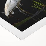 Elegant rolled canvas art showcasing a heron and egret design, blending soft blues and greens, perfect for nature lovers and home decor enthusiasts.