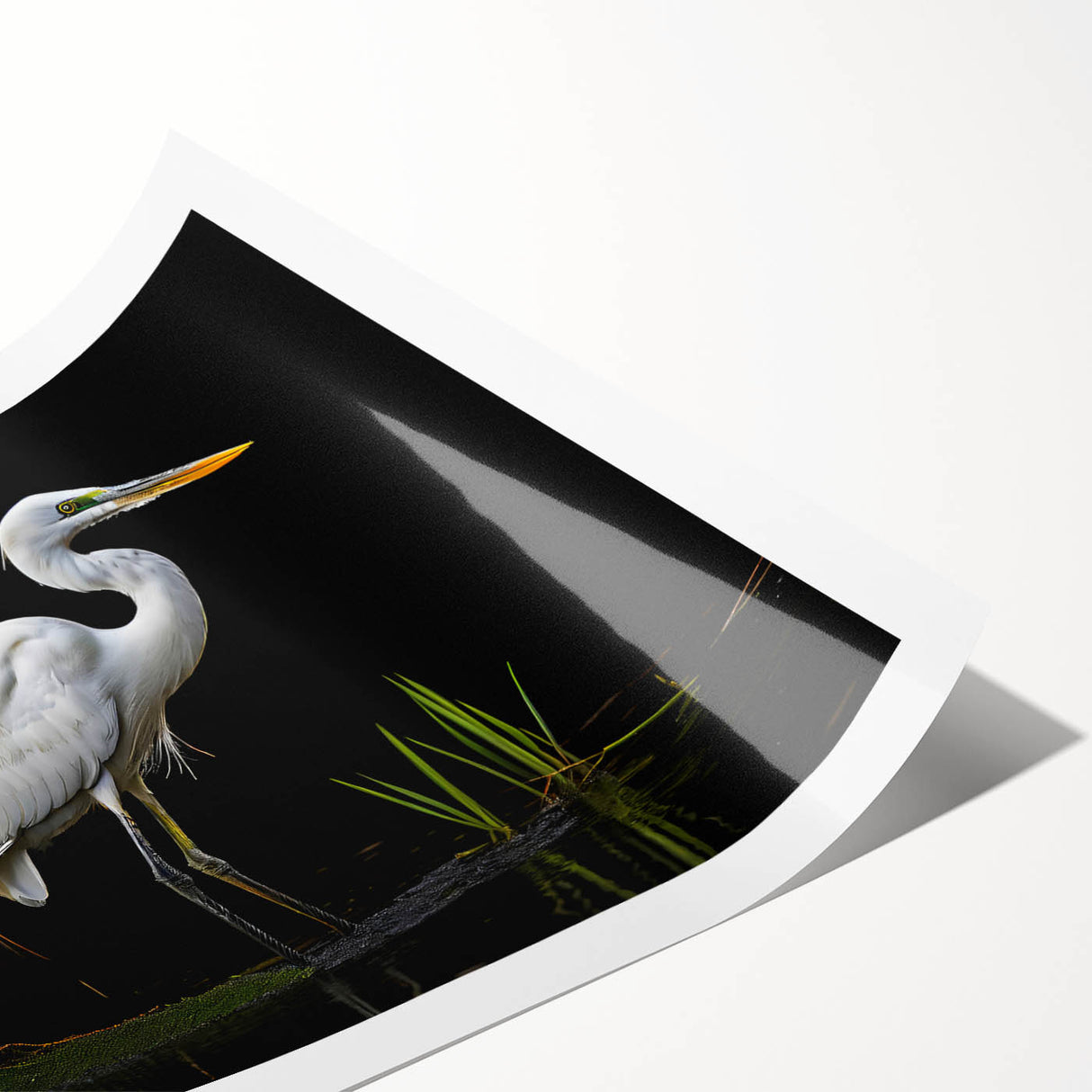 Elegant heron and egret wall art design on a rolled print, showcasing vibrant colors and intricate details, perfect for enhancing home decor or gallery displays.