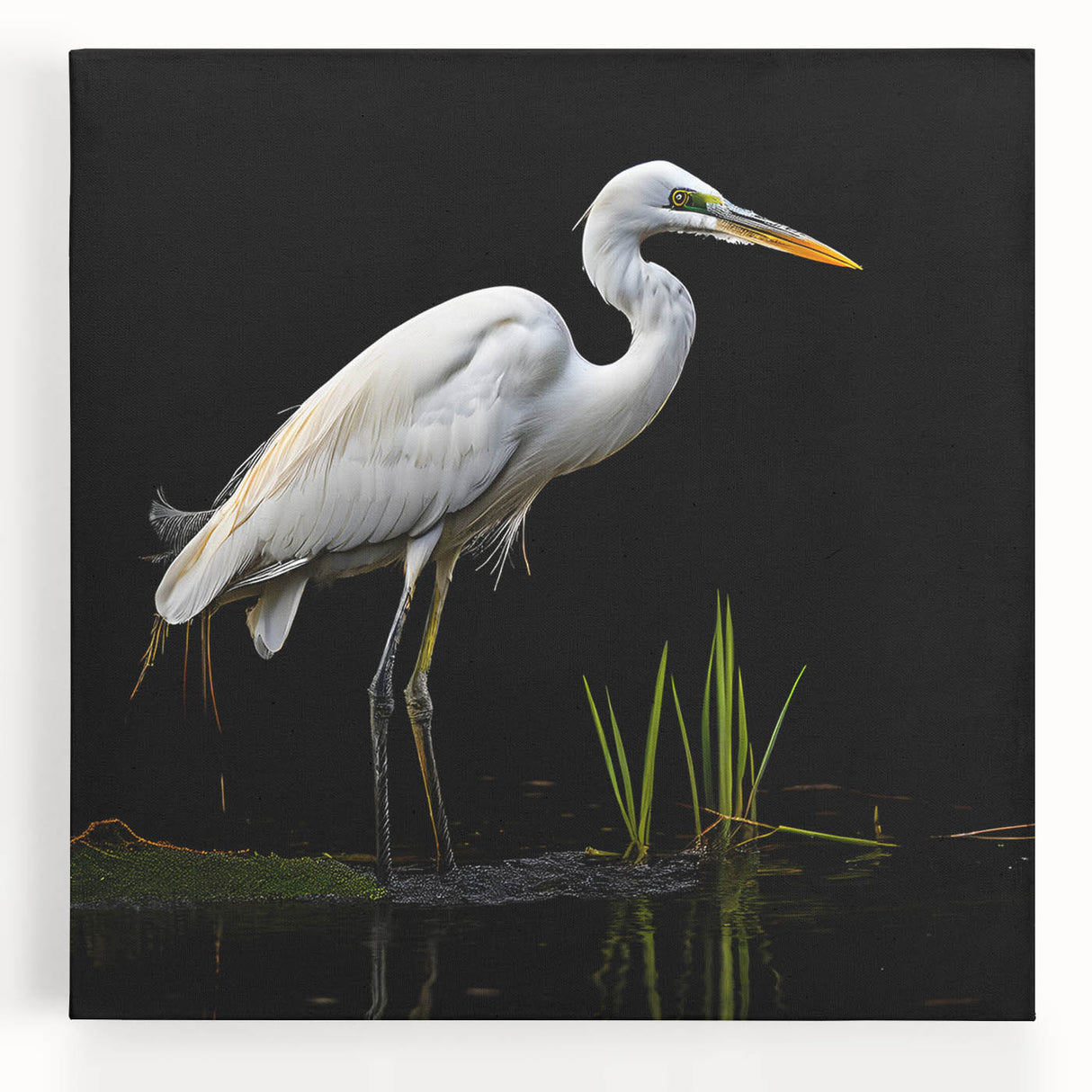 Elegant stretched canvas wall art featuring a serene heron and egret design on a tranquil background, perfect for enhancing home decor with nature-inspired aesthetics.