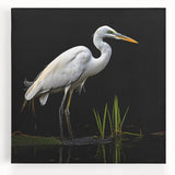 Elegant stretched canvas wall art featuring a serene heron and egret design on a tranquil background, perfect for enhancing home decor with nature-inspired aesthetics.