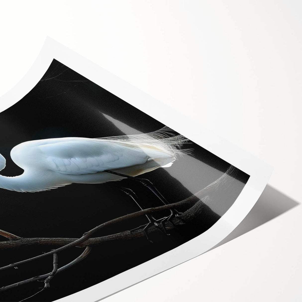 Elegant rolled wall art print showcasing a heron and egret design, featuring vibrant colors and intricate details, perfect for enhancing home decor. Ideal for nature lovers and art enthusiasts seeking a touch of wildlife elegance in their space.