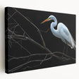 Elegant stretched canvas wall art showcasing a heron and egret in a serene natural setting, ideal for enhancing home decor with a touch of nature.