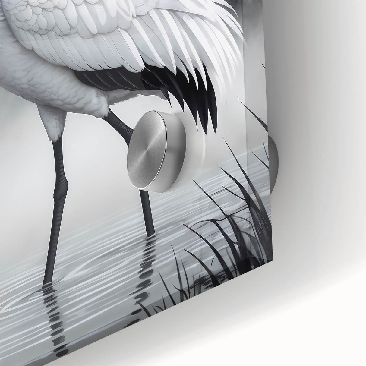 Close-up of a stunning wall art collection featuring elegant heron and egret designs, printed on acrylic glass, showcasing vibrant colors and intricate details, perfect for enhancing modern decor.