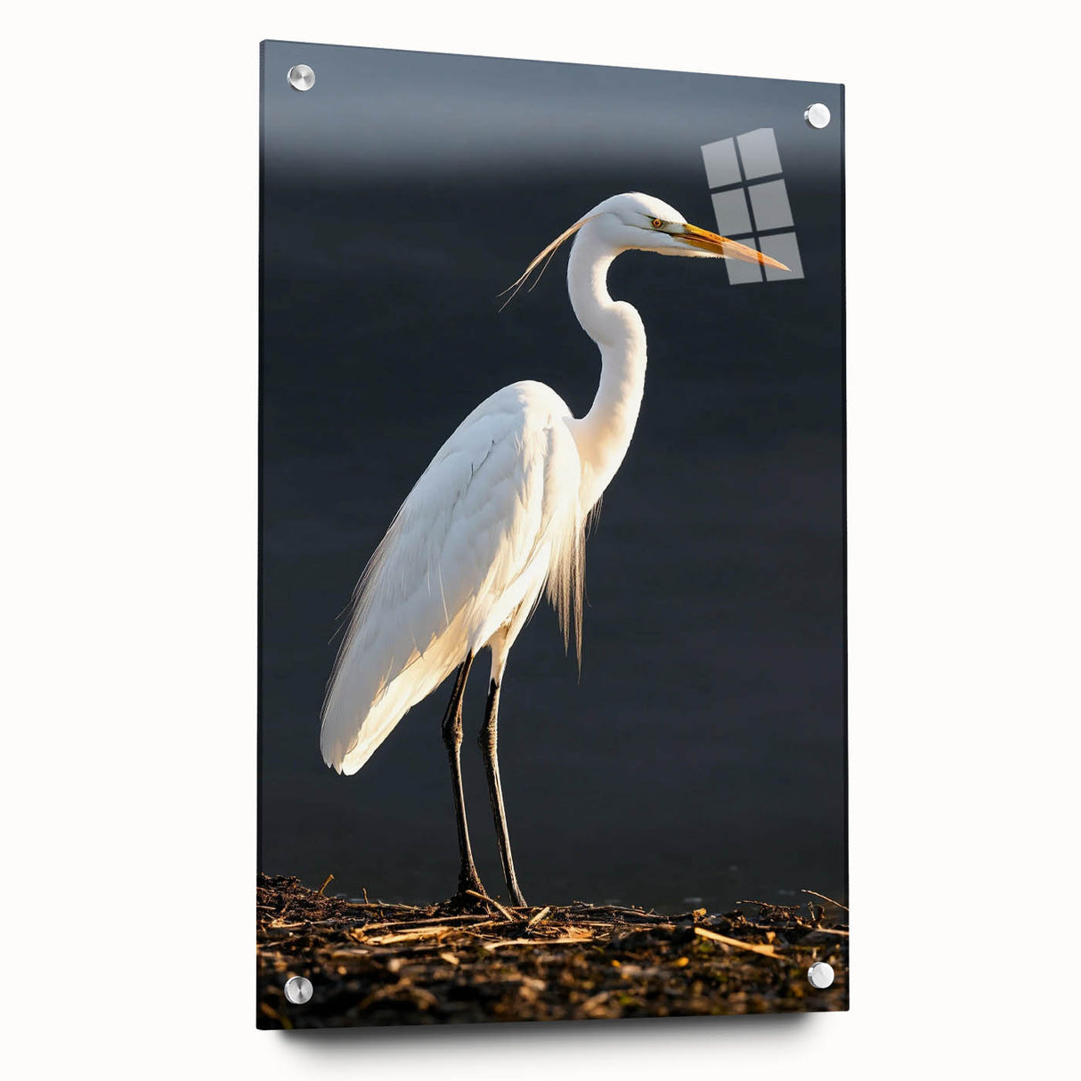 Elegant wall art collection showcasing a side view of heron and egret designs printed on acrylic glass, featuring vibrant colors and intricate details, ideal for nature-themed decor.