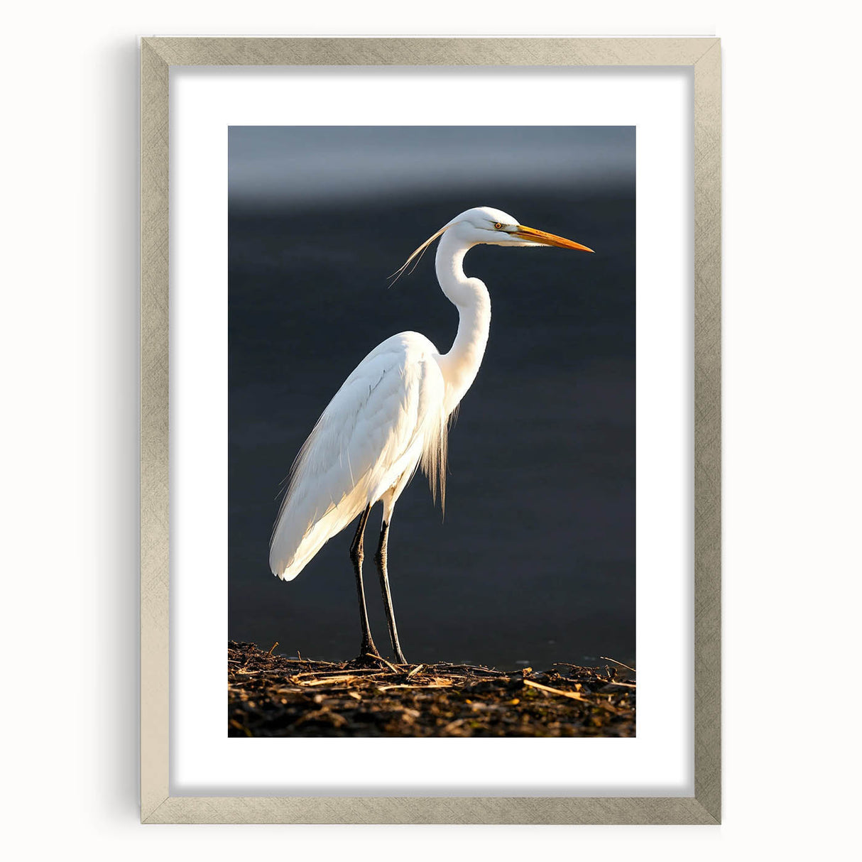 Framed wall art collection showcasing elegant herons and egrets in soft pastel colors, designed to enhance modern decor with a stylish silver frame and mat.