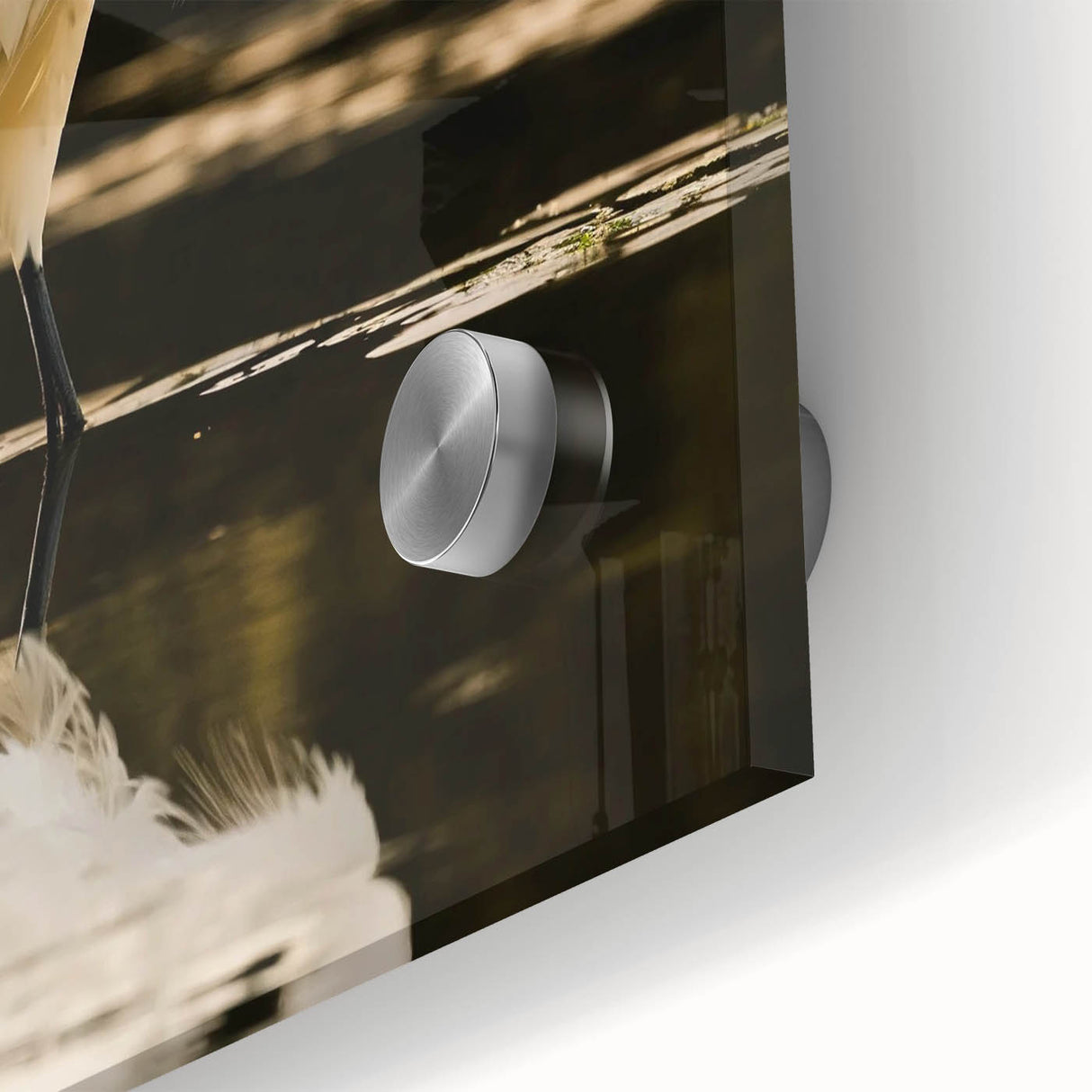 Close-up of a colorful wall art collection featuring a heron and egret design, printed on acrylic glass, showcasing intricate details and vibrant colors, ideal for home decor.