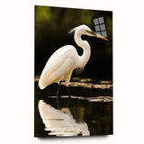 Elegant wall art collection featuring a side view of a heron and egret design printed on acrylic glass, showcasing vibrant colors and intricate details, perfect for enhancing modern home decor.