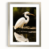 Framed wall art collection featuring a heron and egret design, showcased in a sleek silver frame with a mat, perfect for enhancing home decor with nature-inspired elegance.
