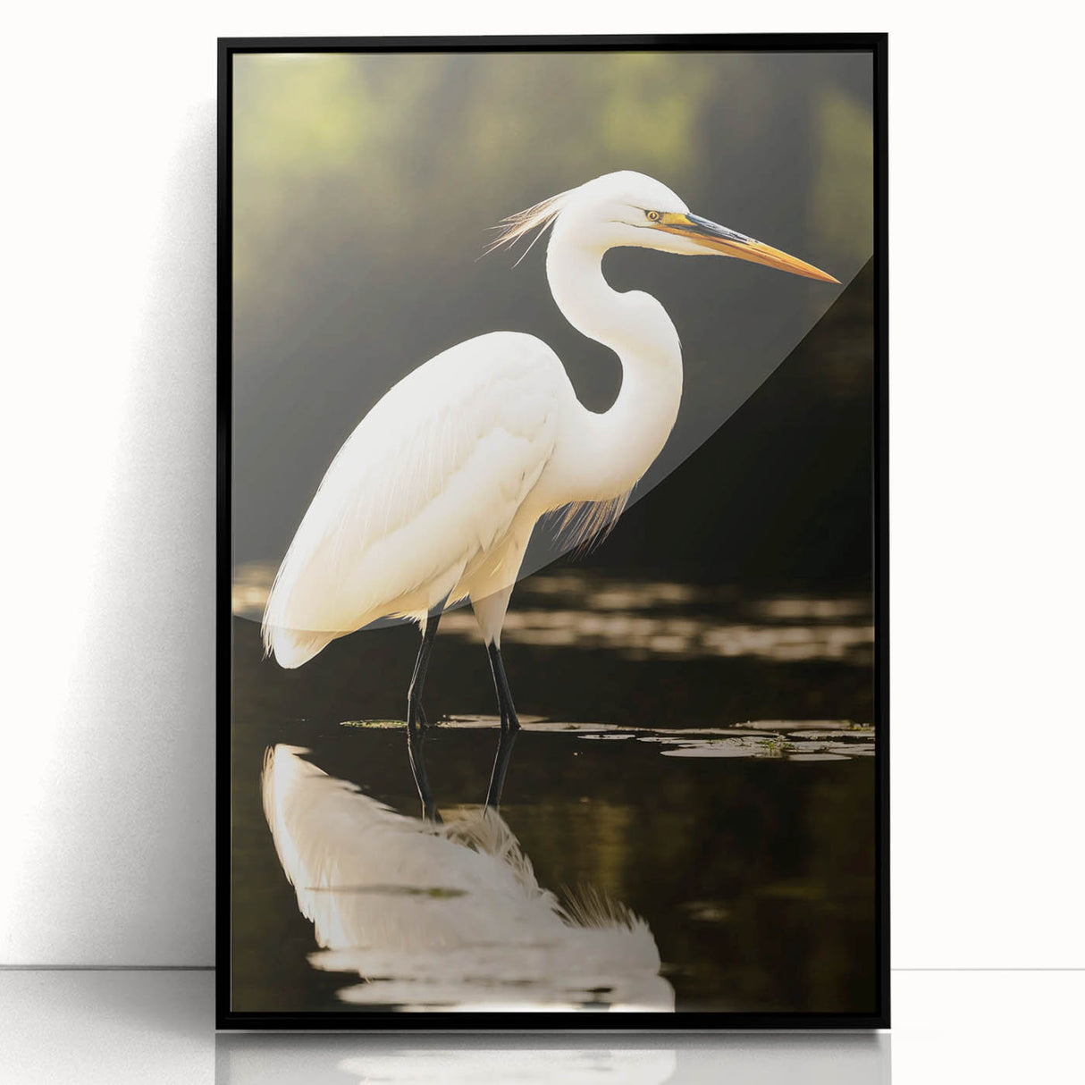 Framed wall art collection showcasing a heron and egret design on acrylic, featuring a sleek black frame, ideal for modern home decor and nature enthusiasts.
