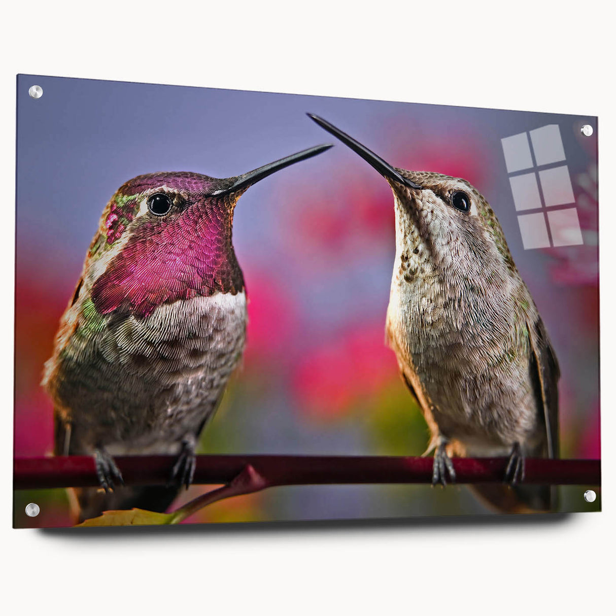 Vibrant acrylic glass wall art showcasing a detailed hummingbird design, elegantly displayed from the side with multiple pins for hanging, perfect for nature-inspired decor.