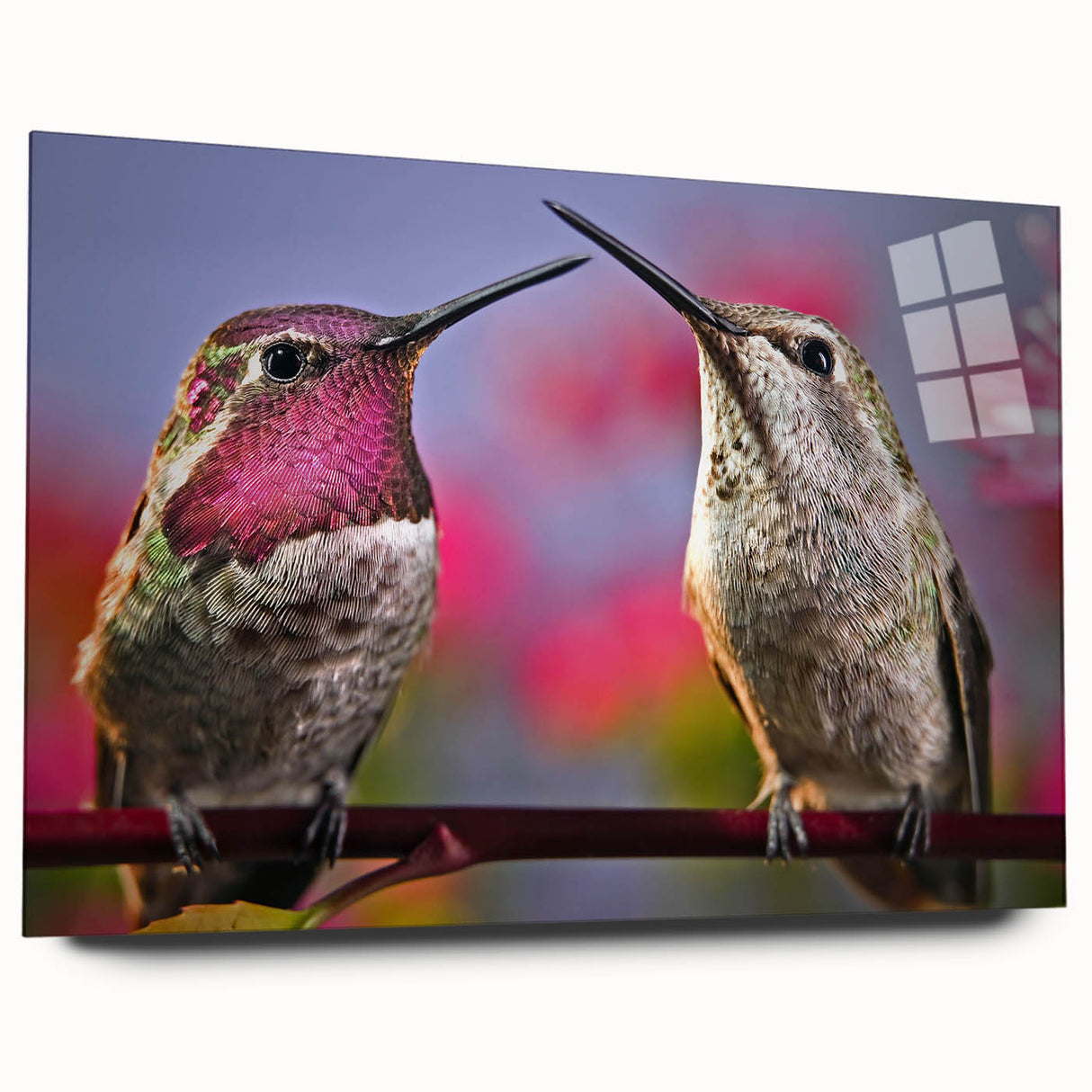Colorful hummingbird wall art design displayed in a sleek acrylic glass frame, showcasing vibrant colors and intricate details, perfect for enhancing home decor.