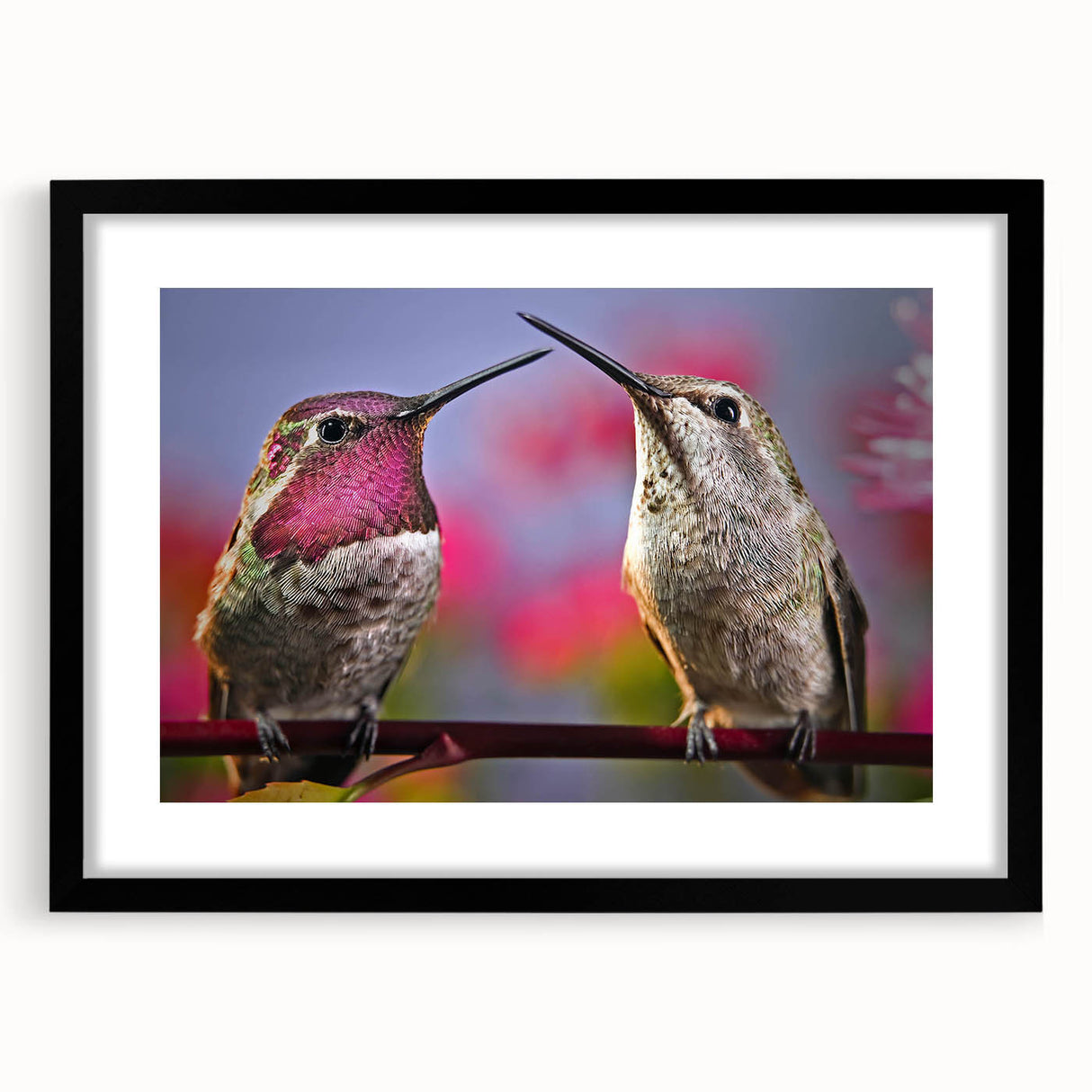 Framed black wall art featuring a vibrant hummingbird design with intricate details, showcased against a minimalist backdrop, perfect for modern decor enthusiasts.