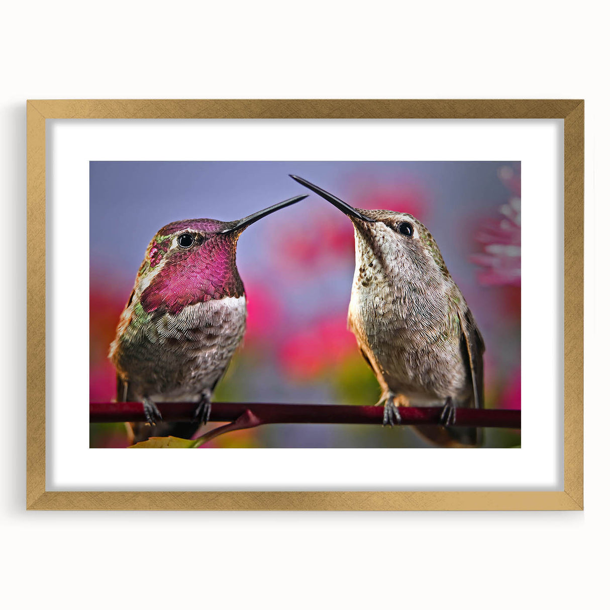 Framed wall art featuring a vibrant hummingbird design in gold, showcasing intricate details and a sophisticated mat, ideal for enhancing modern decor.