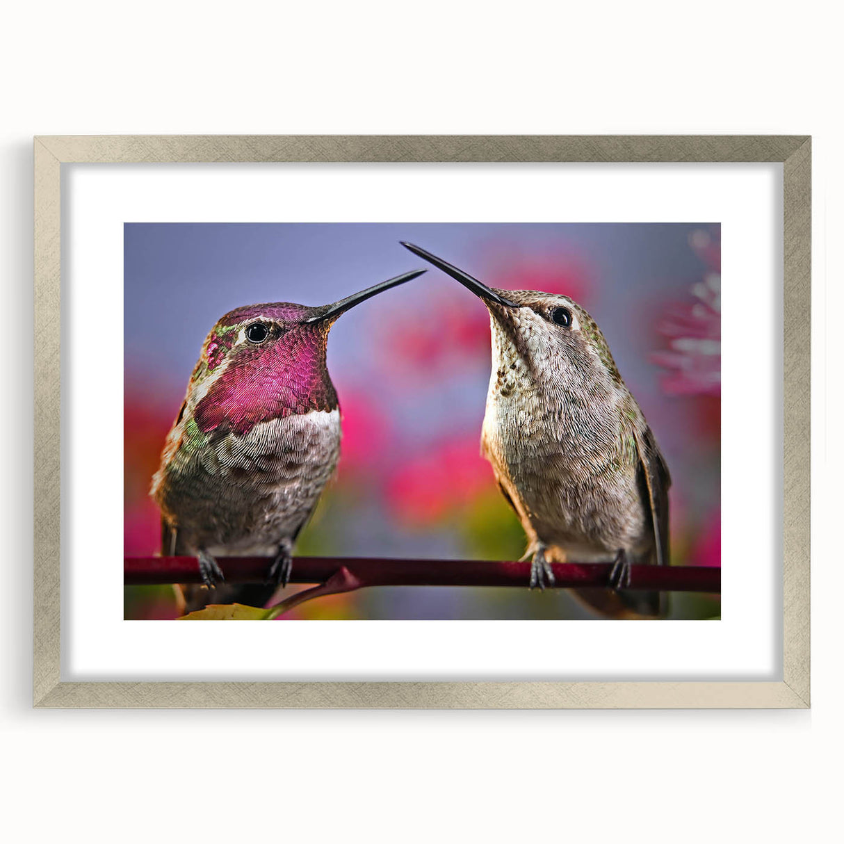 Framed wall art featuring a silver mat showcasing a vibrant hummingbird design on a textured background, ideal for modern home decor. Perfect for nature lovers.