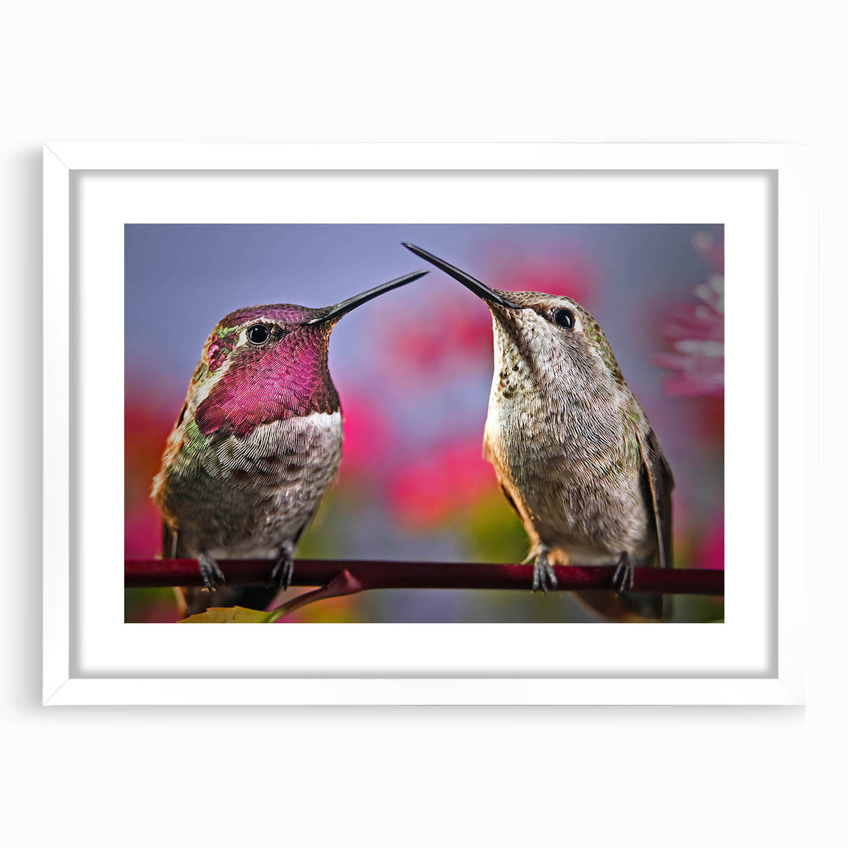 Framed wall art featuring a vibrant hummingbird design, showcasing intricate details and a white mat, perfect for adding a touch of nature-inspired decor to any room.