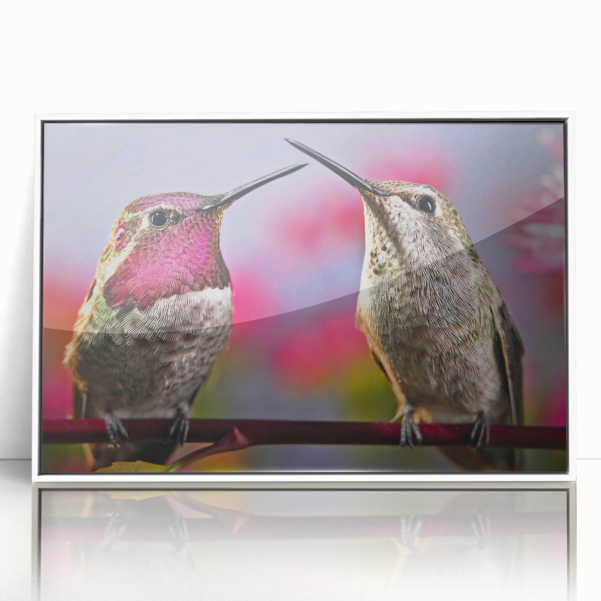 Framed acrylic wall art showcasing a vibrant hummingbird design in a white frame, perfect for adding a touch of nature-inspired beauty to any modern decor.