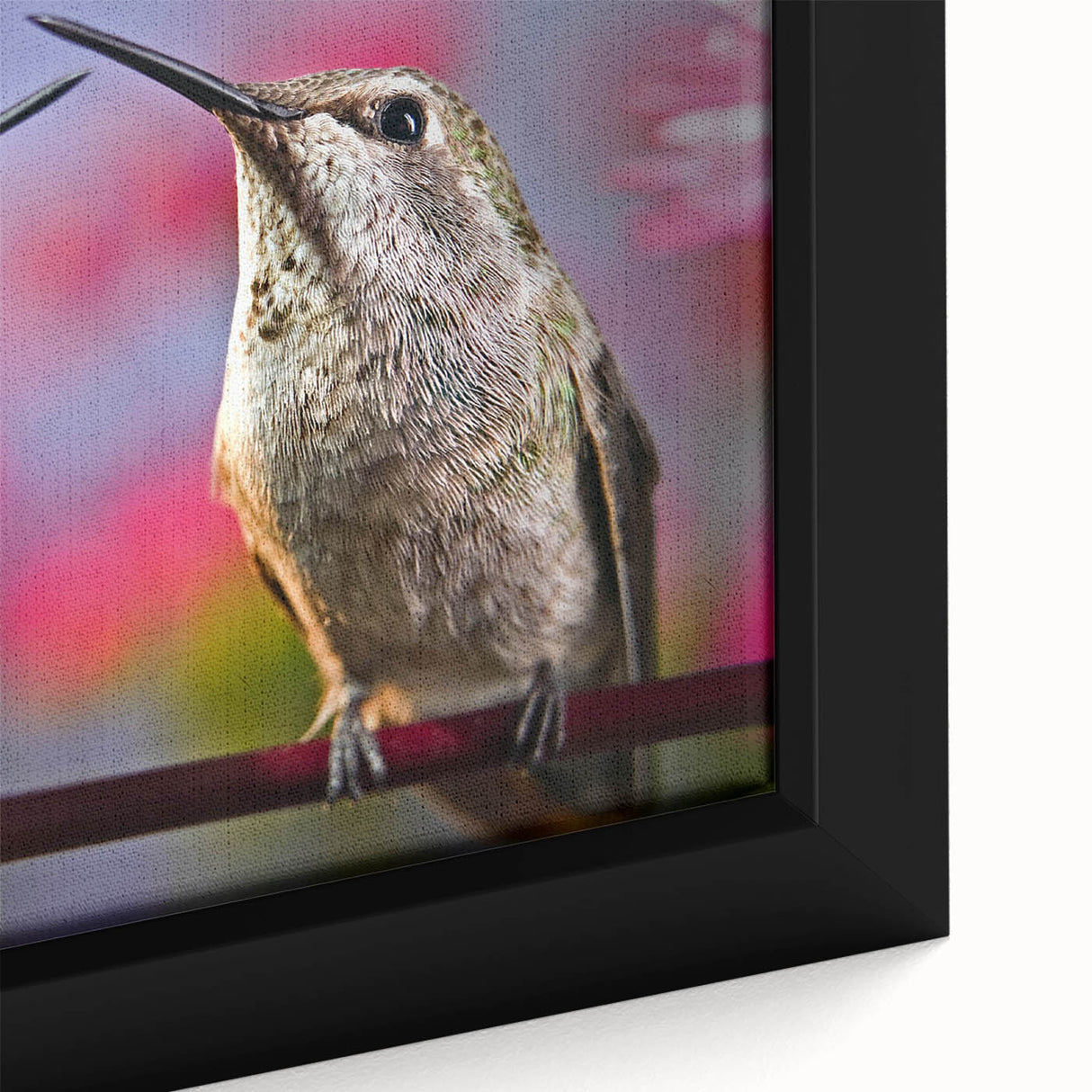 Close-up of a vibrant hummingbird wall art canvas featuring intricate details and bright colors, framed elegantly for immediate display in any living space.