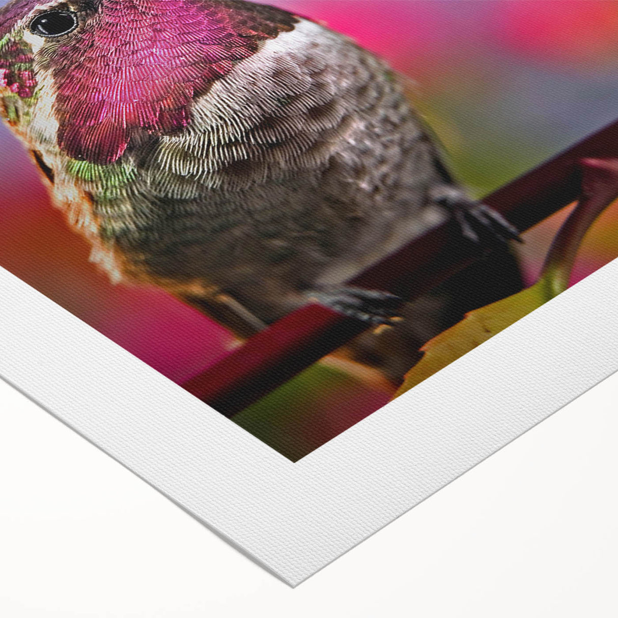Colorful rolled canvas wall art featuring a vibrant hummingbird design, showcasing intricate details and a lively color palette, perfect for enhancing home decor.
