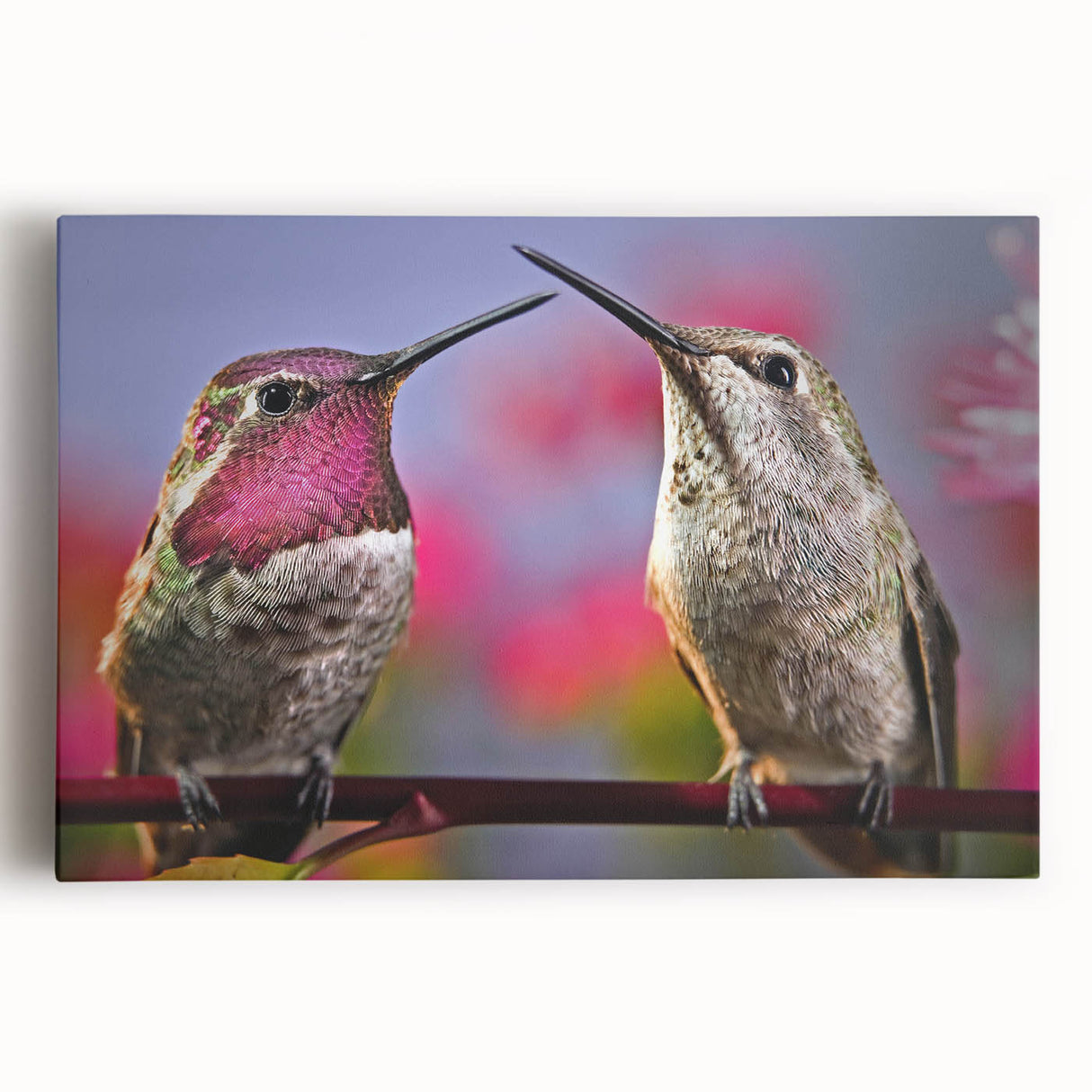Vibrant hummingbird wall art design on stretched canvas, showcasing detailed colors and intricate patterns, ideal for home decor and nature enthusiasts.