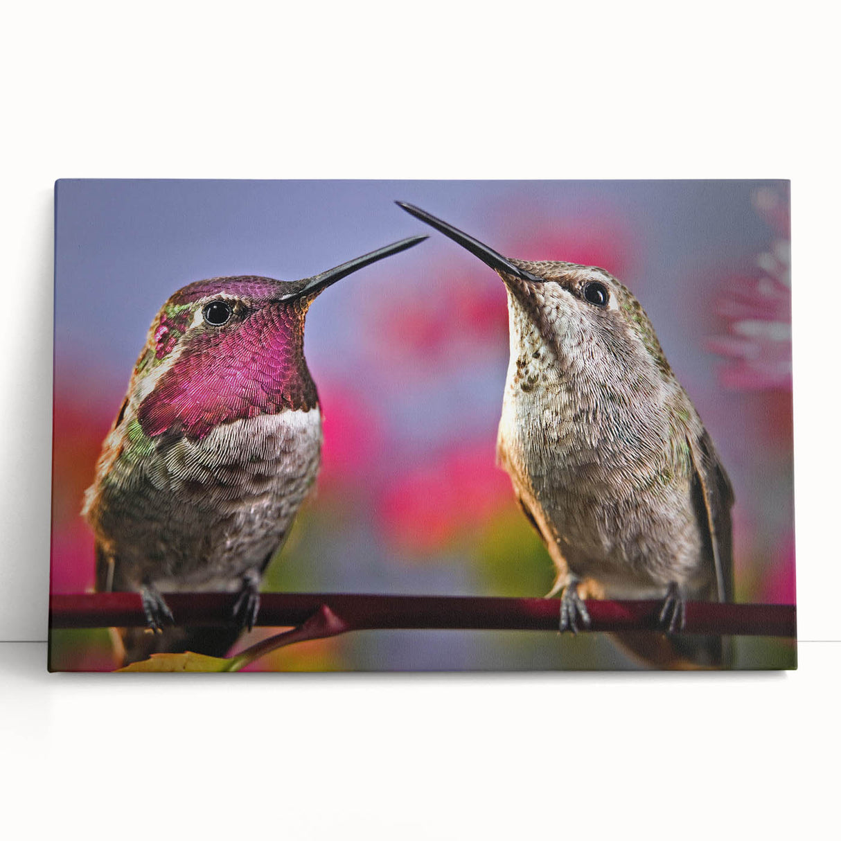 Vibrant hummingbird wall art design printed on stretched canvas, showcasing intricate details and rich colors, perfect for adding a lively touch to any room decor.