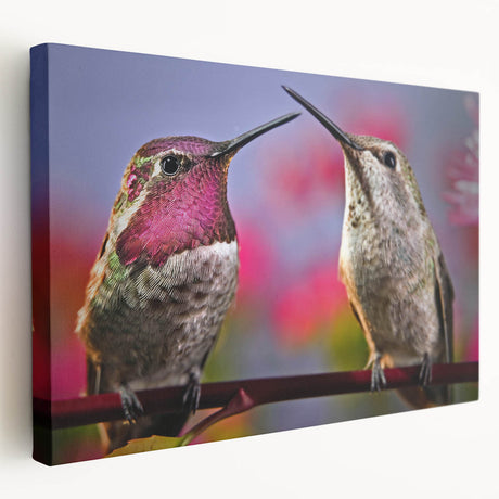 Vibrant hummingbird design stretched canvas wall art in a side view, showcasing intricate details and rich colors, perfect for nature-themed decor.