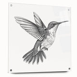 Acrylic wall art featuring a vibrant hummingbird design, showcasing vivid colors and intricate details, displayed in a side view with decorative pins for easy mounting. Perfect for nature-inspired decor and bird enthusiasts.
