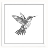 Framed hummingbird wall art collection featuring a delicate design with vibrant colors, set against a white mat, perfect for enhancing home decor elegance.