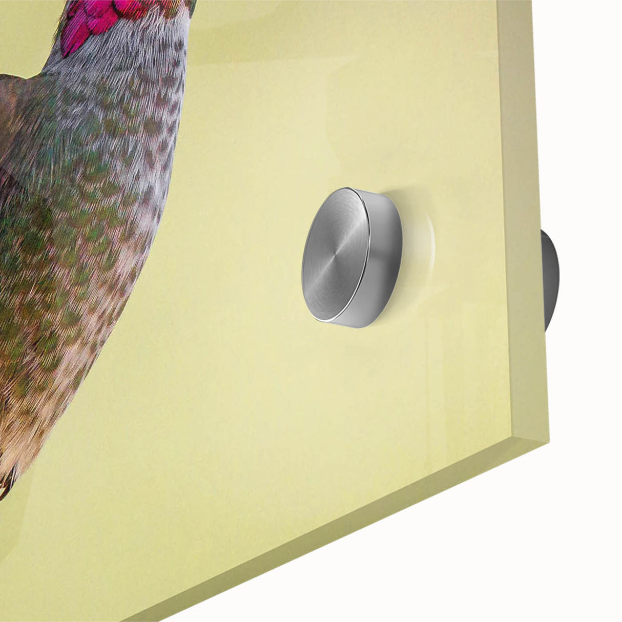 Close-up of a vibrant hummingbird illustration on acrylic glass wall art, showcasing intricate details and colorful feathers, ideal for nature-themed decor.