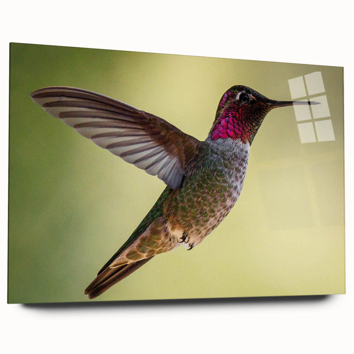 Acrylic wall art design showcasing vibrant hummingbirds in a colorful floral setting, beautifully displayed from a side view without pins, ideal for home decor.