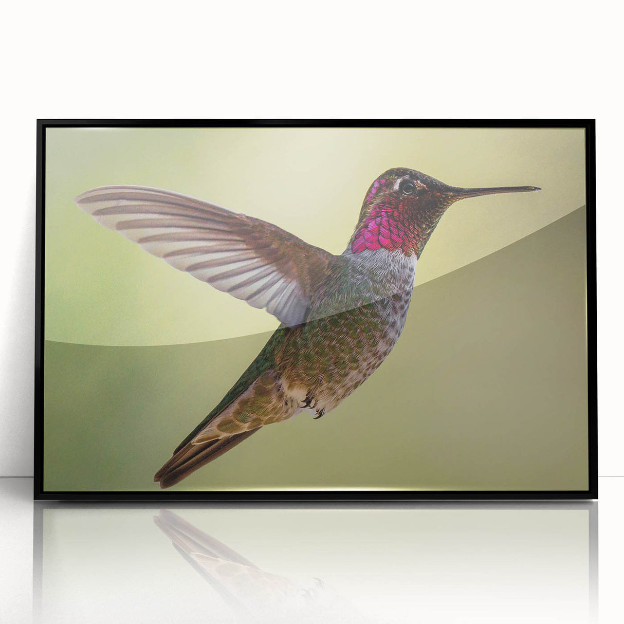 Framed wall art featuring a vibrant hummingbird design in an acrylic finish, highlighted by a sleek black frame, ideal for enhancing modern decor.