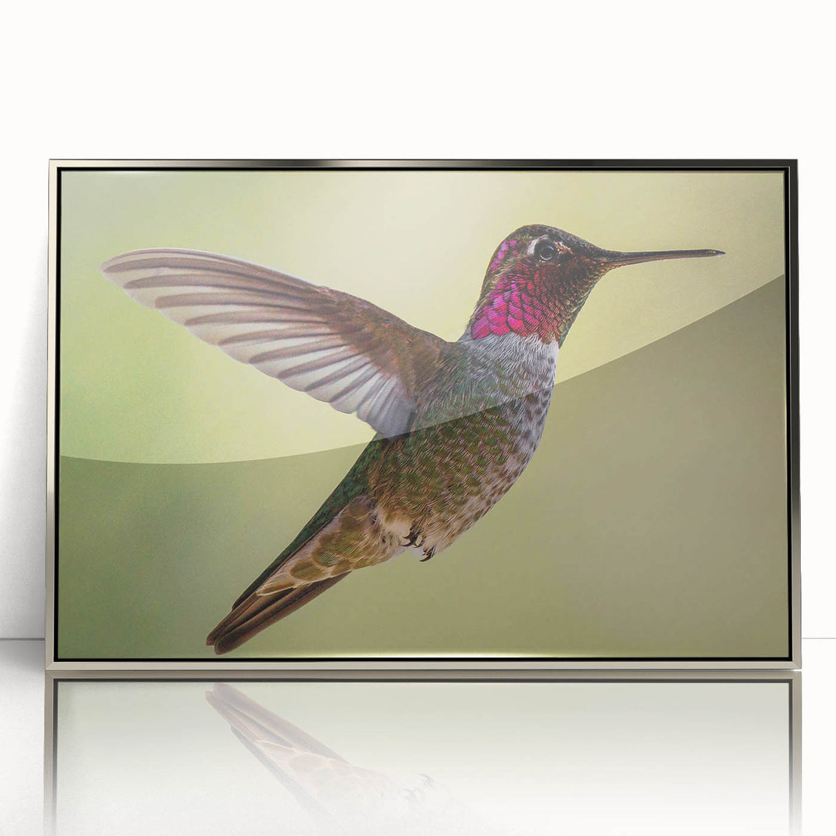 Framed acrylic wall art featuring a vibrant hummingbird design in silver tones, displayed against a sleek background. Ideal for modern home decor.