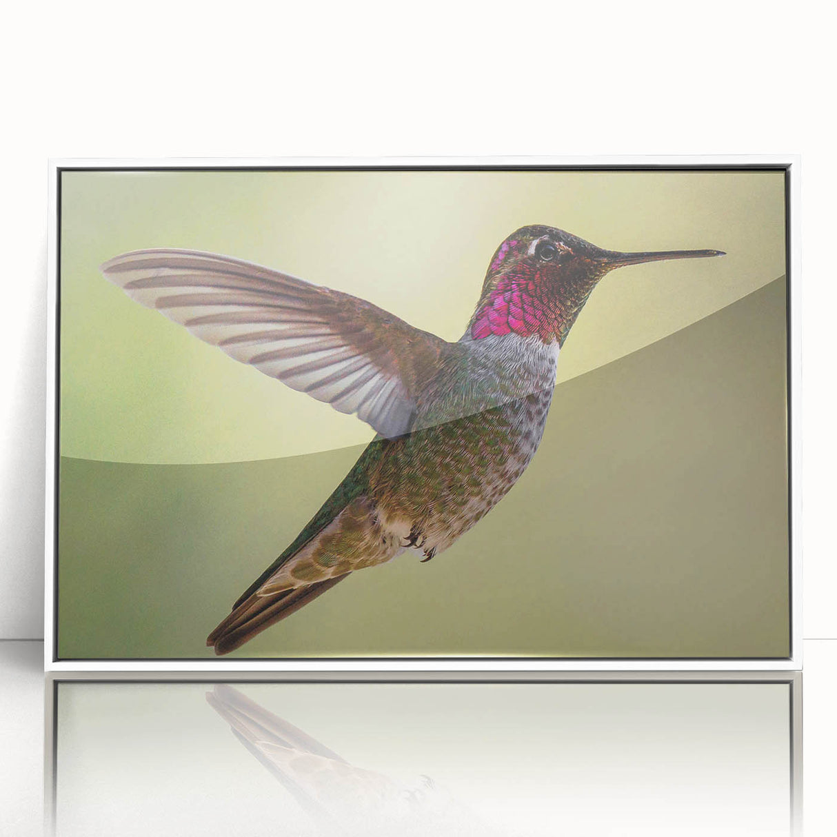 Framed acrylic wall art showcasing a vibrant hummingbird design with intricate details, set against a clean white background, ideal for enhancing modern decor.