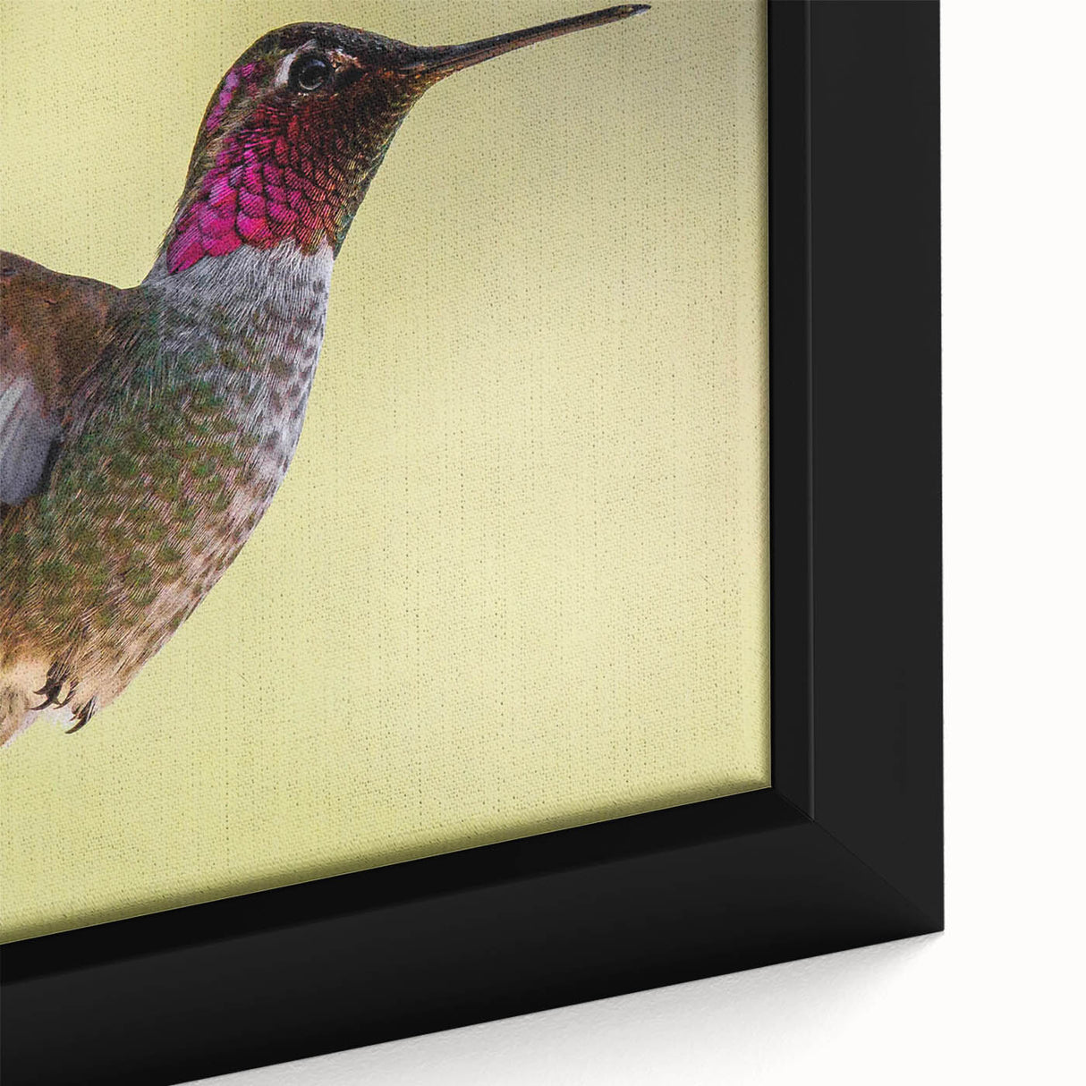 Close-up of a vibrant framed canvas wall art showcasing an intricately designed hummingbird surrounded by colorful tropical foliage, ideal for nature lovers and home decor enthusiasts.