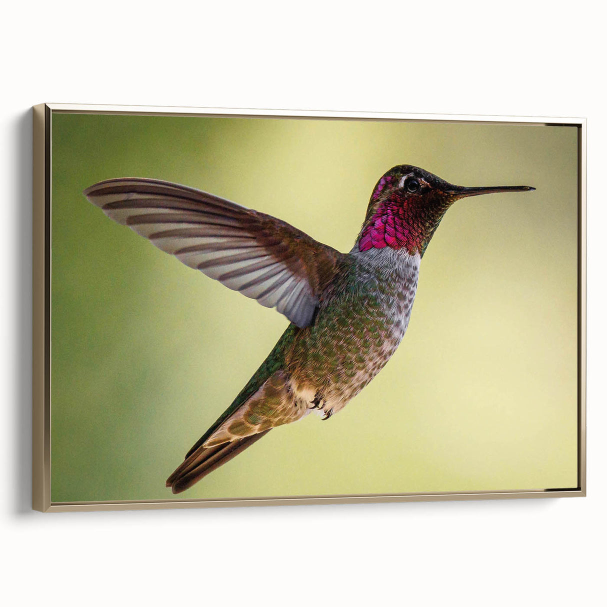 Framed canvas wall art showcasing a vibrant hummingbird design in gold tones, set against a sleek black background, perfect for adding elegance to any room decor.