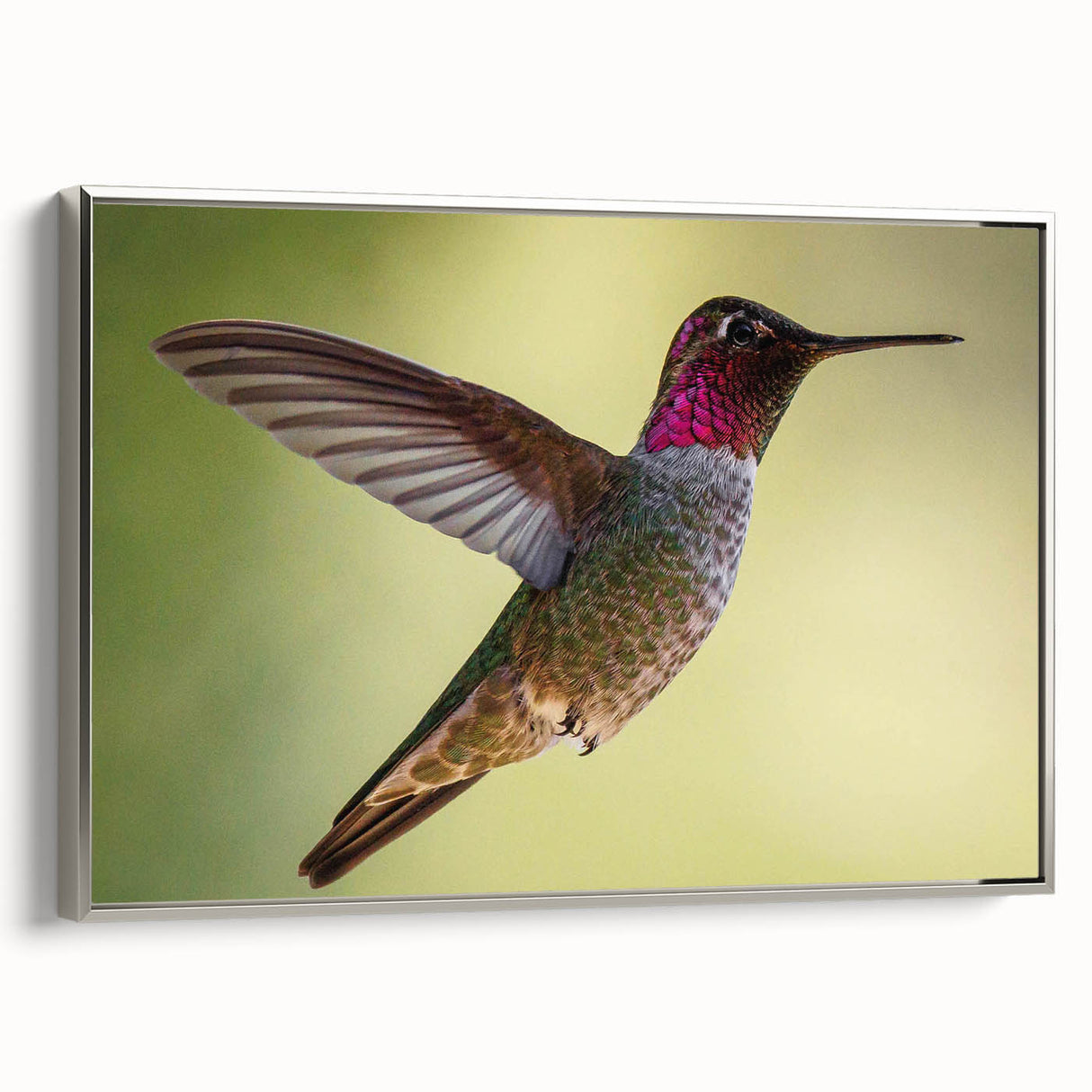Framed canvas wall art featuring a vibrant hummingbird design in silver tones, displayed from the side, perfect for adding a touch of nature-inspired elegance to any room.