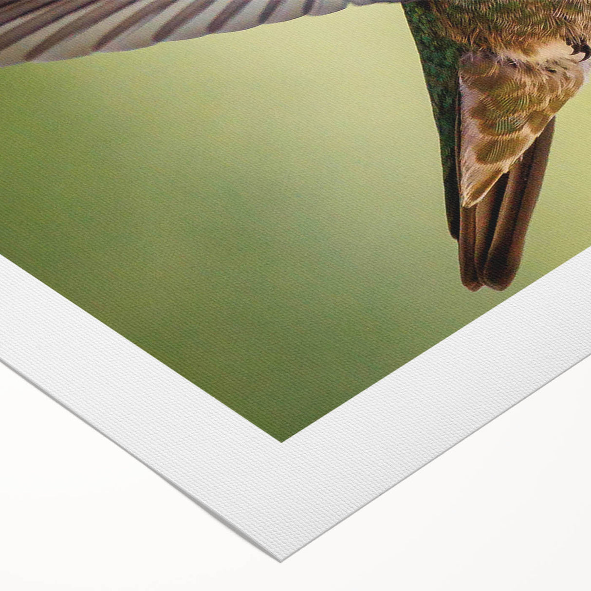 Vibrant rolled canvas artwork showcasing a colorful hummingbird design, perfect for nature lovers, featuring intricate details and a textured finish. Ideal for home decor.