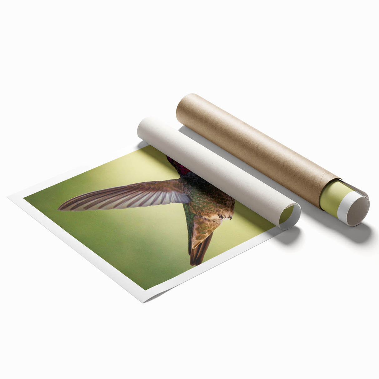 Hummingbird wall art print showcasing vibrant colors and intricate details, rolled for easy transport and display, ideal for nature-inspired decor.