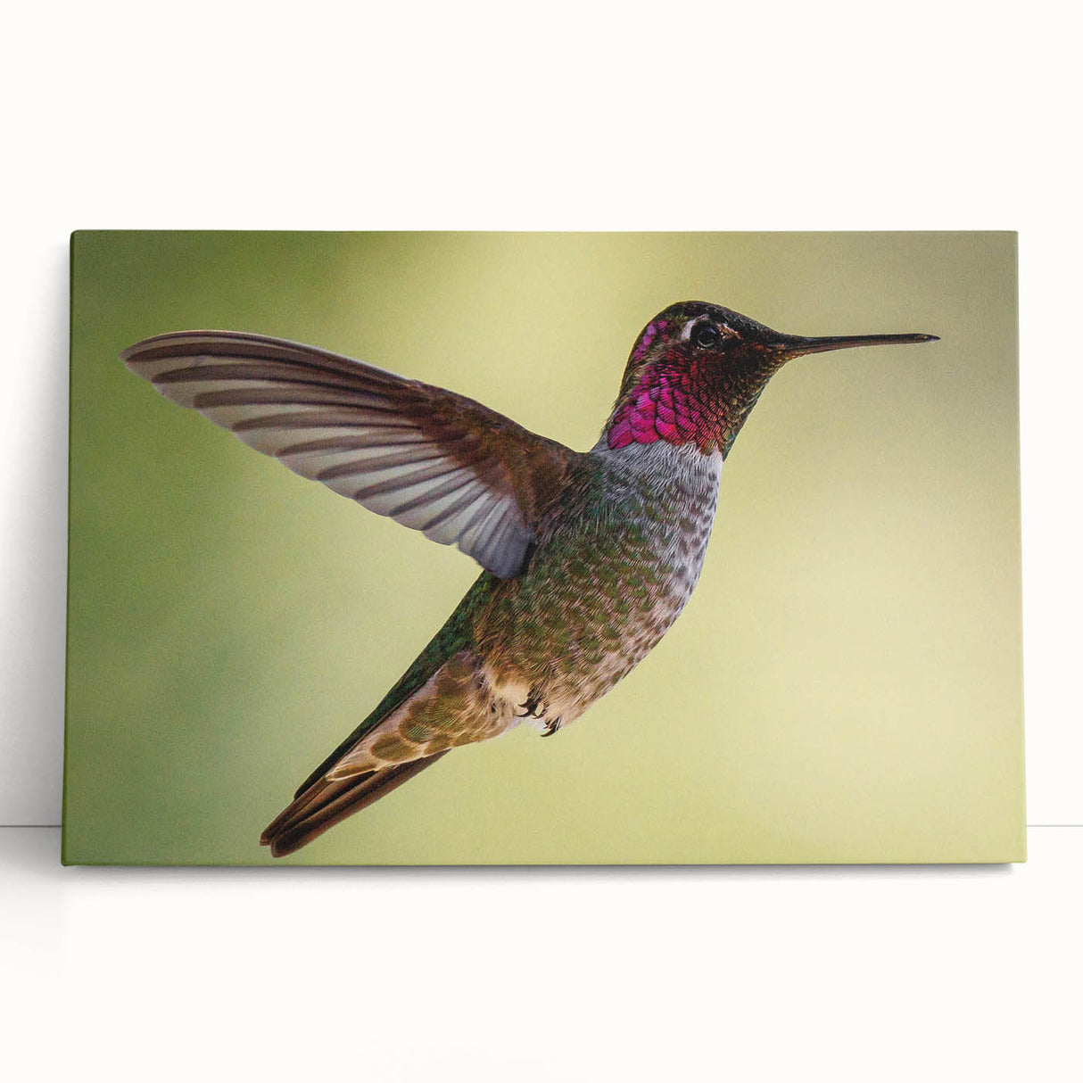 Vibrant stretched canvas wall art featuring a colorful hummingbird design, showcasing intricate details and bright hues, perfect for adding a lively touch to any space.