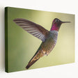 Stretched canvas wall art featuring a vibrant hummingbird design, showcasing intricate details and bright colors, perfect for nature enthusiasts and home decor.