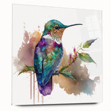 Hummingbird-themed wall art design displayed in acrylic glass, showcasing vibrant colors and intricate details, ideal for enhancing modern home decor.