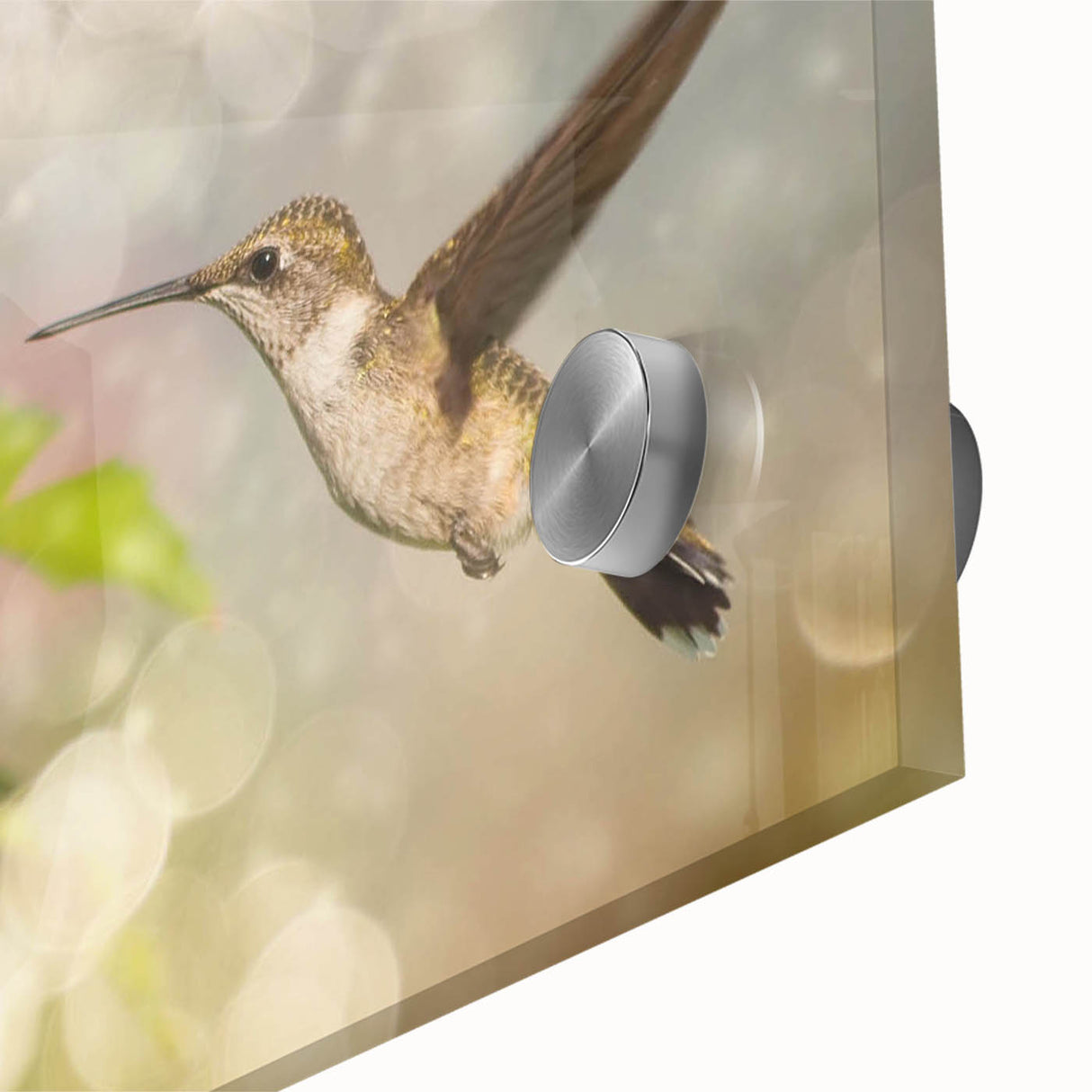 Close-up of a vibrant hummingbird wall art design, showcasing intricate details and rich colors on acrylic glass, perfect for enhancing modern decor.