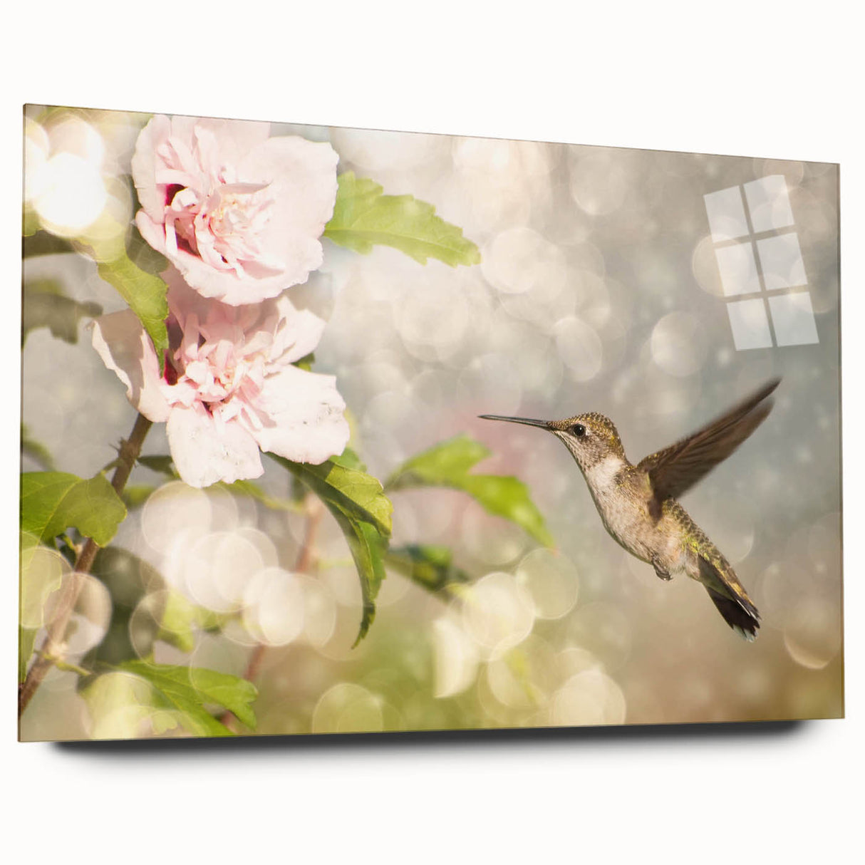 Vibrant hummingbird wall art design displayed in a sleek acrylic frame, showcasing intricate details and vivid colors, ideal for enhancing modern home decor.