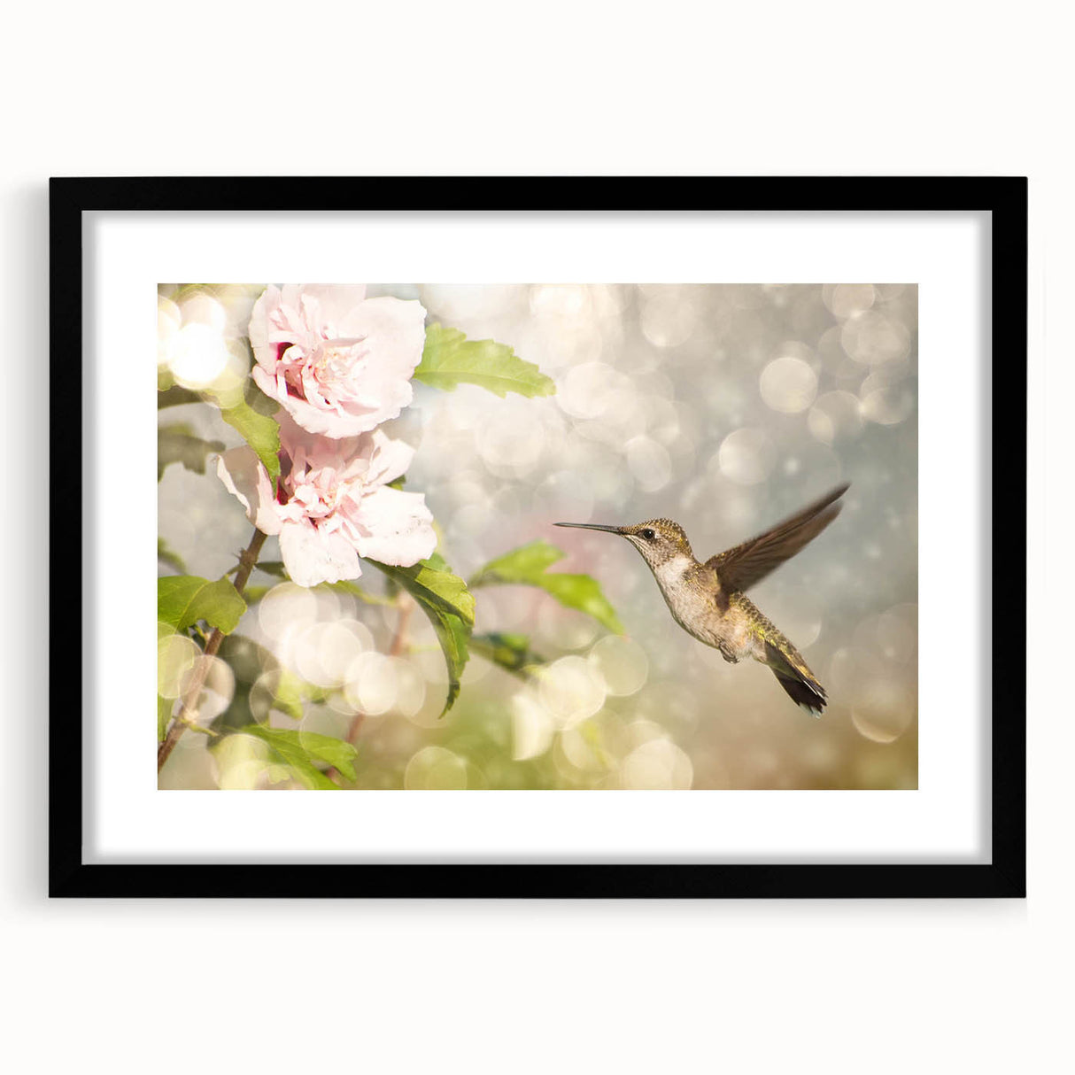 Framed wall art featuring a vibrant hummingbird design in a black frame with a mat, perfect for adding a colorful touch to home décor. Ideal for bird lovers and nature enthusiasts.